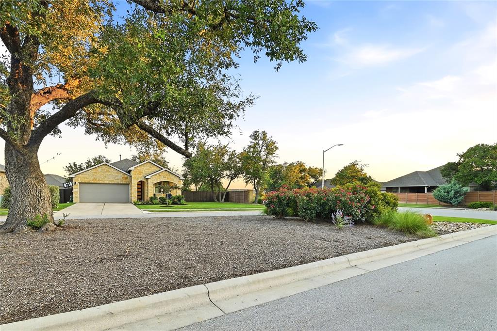 4420 Ingram Road Georgetown, TX 78628 - Photo 32 of 40 Mature oak trees frame a classic stone facade and a manicured suburban lawn.