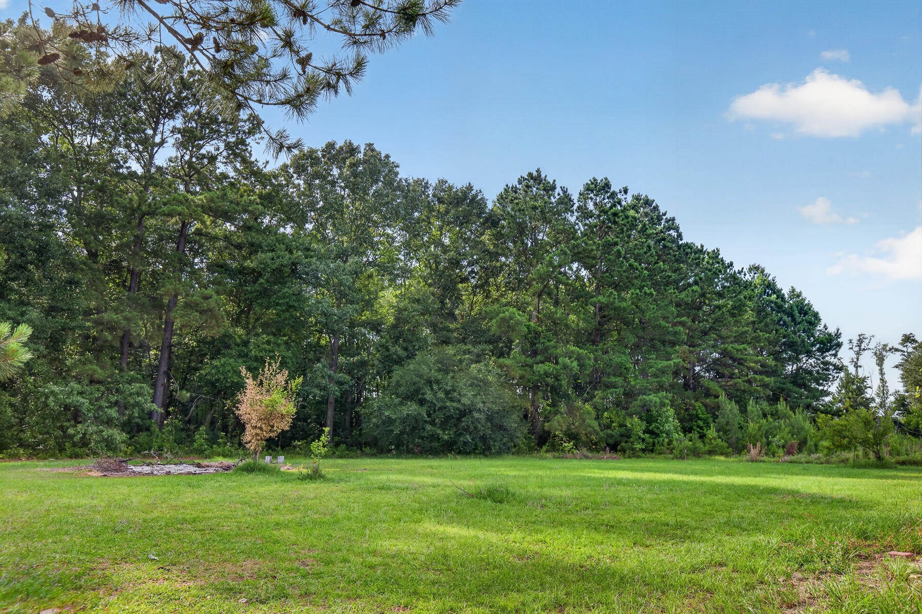 1461 Old Whitesville Road Moncks Corner, SC 29461 - Photo 54 of 55 Rear Acreage