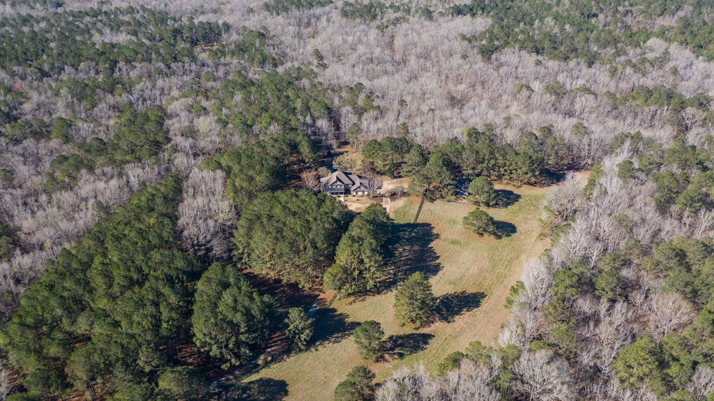 8435 Cartledge Road Box Springs, GA 31801 - Photo 98 of 100 Gallery Image 98