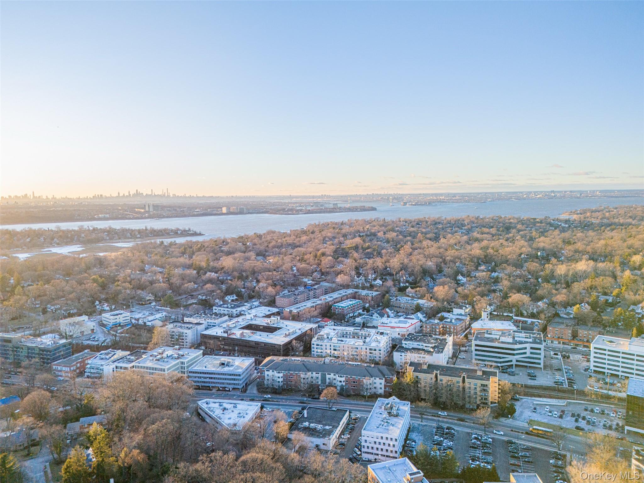 171 Great Neck Road, Unit 1F Great Neck, NY 11021 - Photo 4 of 19