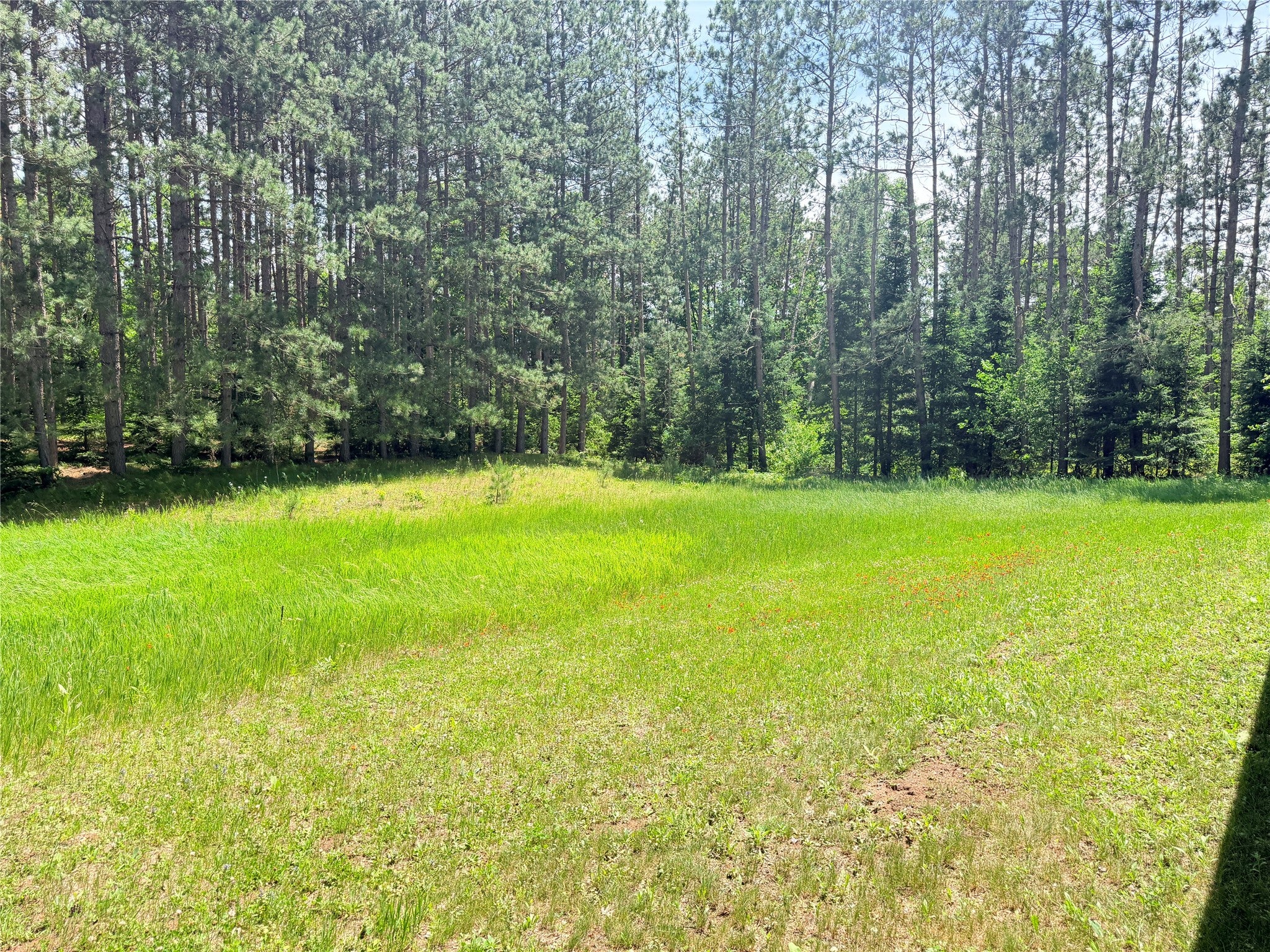 W11097 Boat Landing Road Ladysmith, WI 54848 - Photo 8 of 23 Gallery Image 8