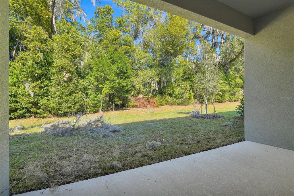 335 Alexandrite Street DeLand, FL 32720 - Photo 17 of 21