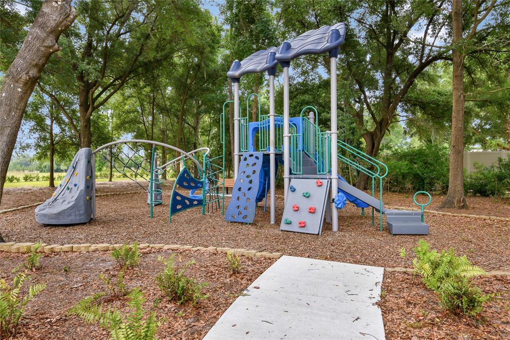 335 Alexandrite Street DeLand, FL 32720 - Photo 20 of 21