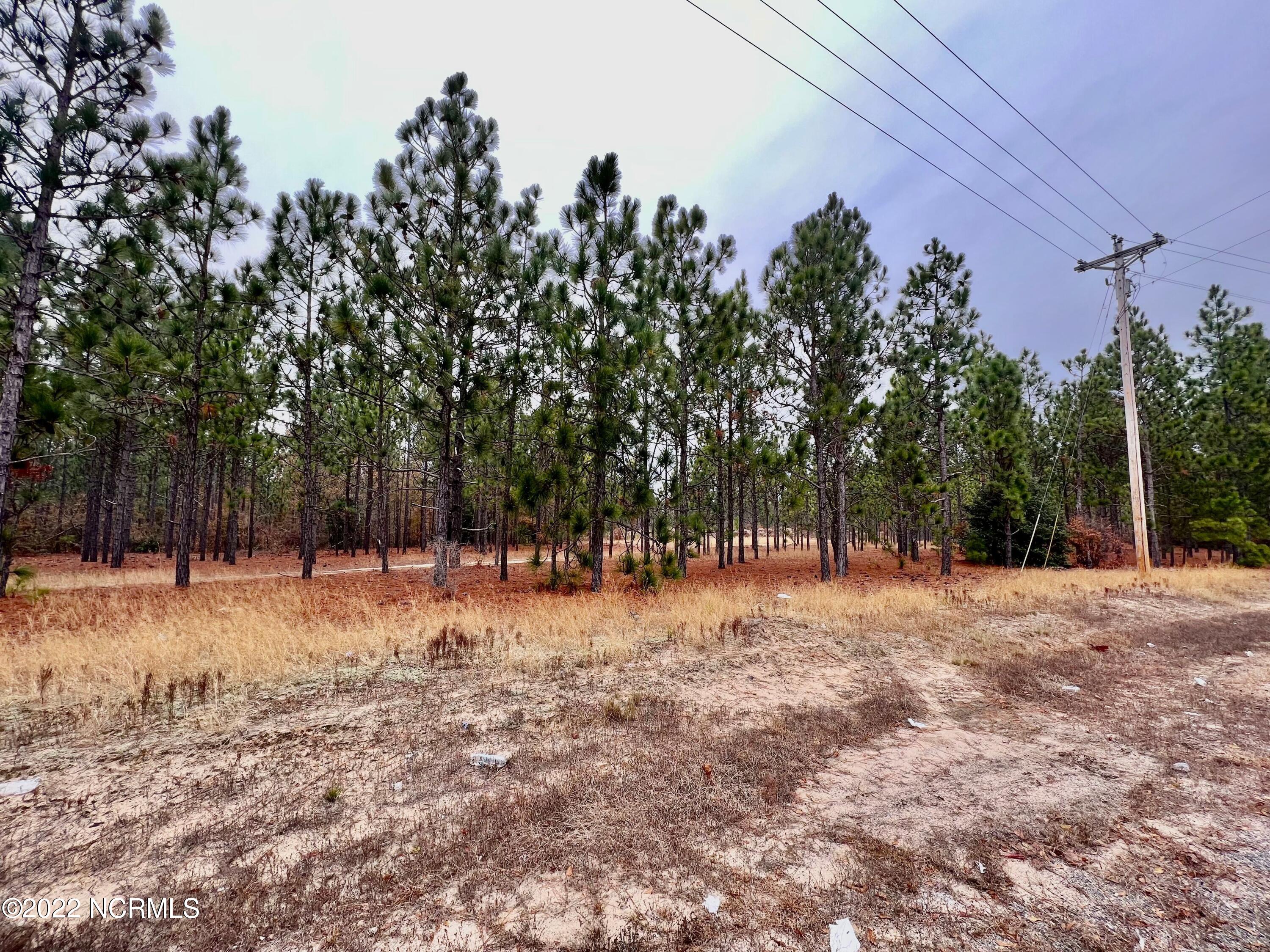 495 McDonald Church Road Rockingham, NC 28379 - Photo 1 of 2 tbd mc