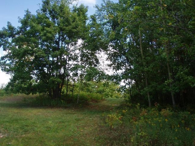 Valleyview Ridge Onekama, MI 49675 - Photo 12 of 16