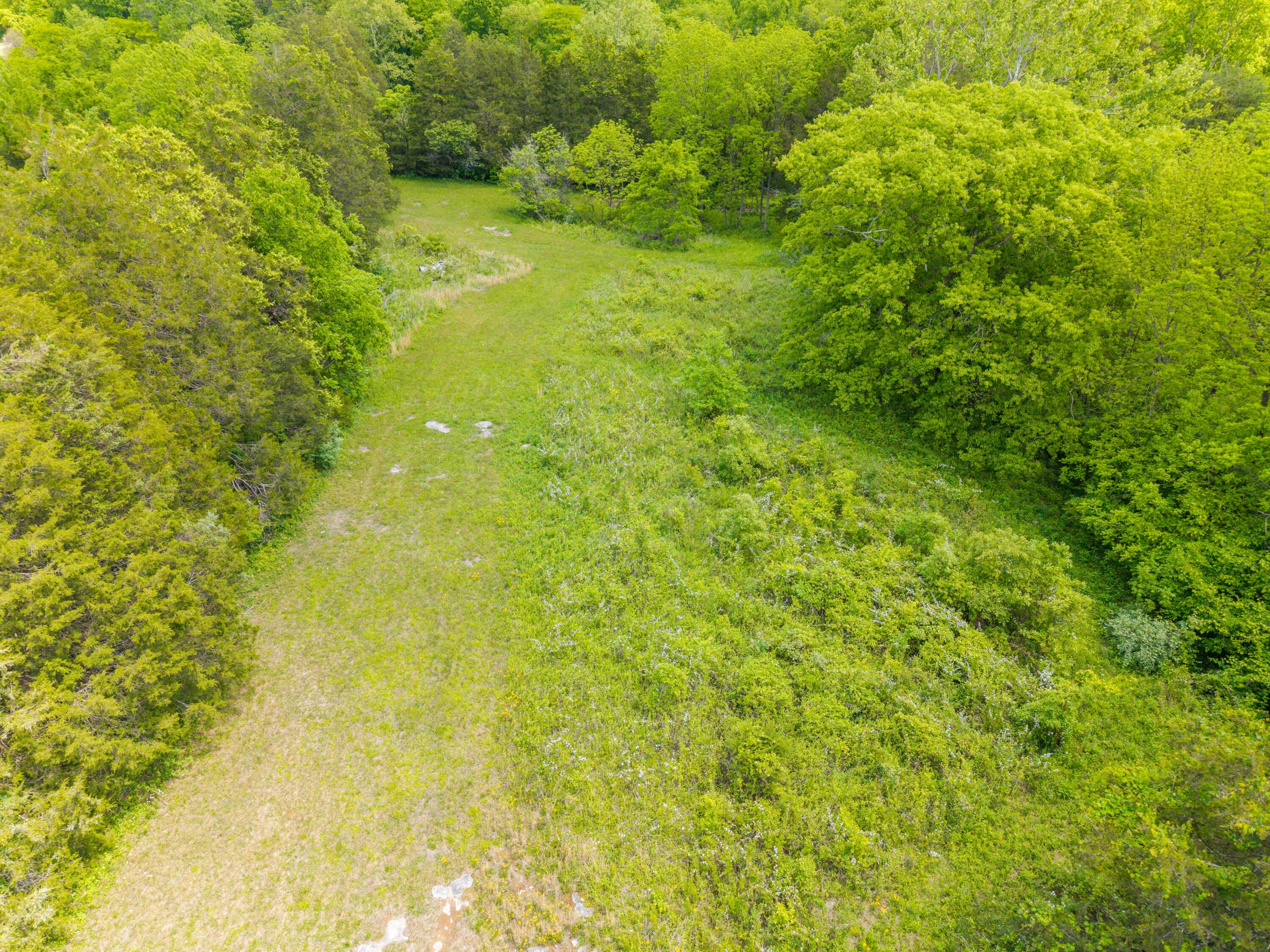 0 Sloans Valley Road Burnside, KY 42519 - Photo 7 of 38 Sloan Valley Land Photo-6