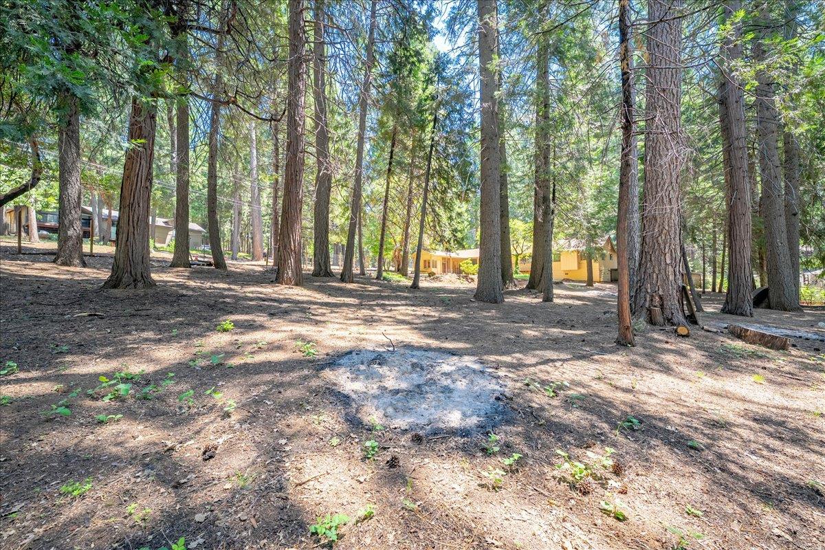 2226 Blair Road Pollock Pines, CA 95726 - Photo 42 of 58