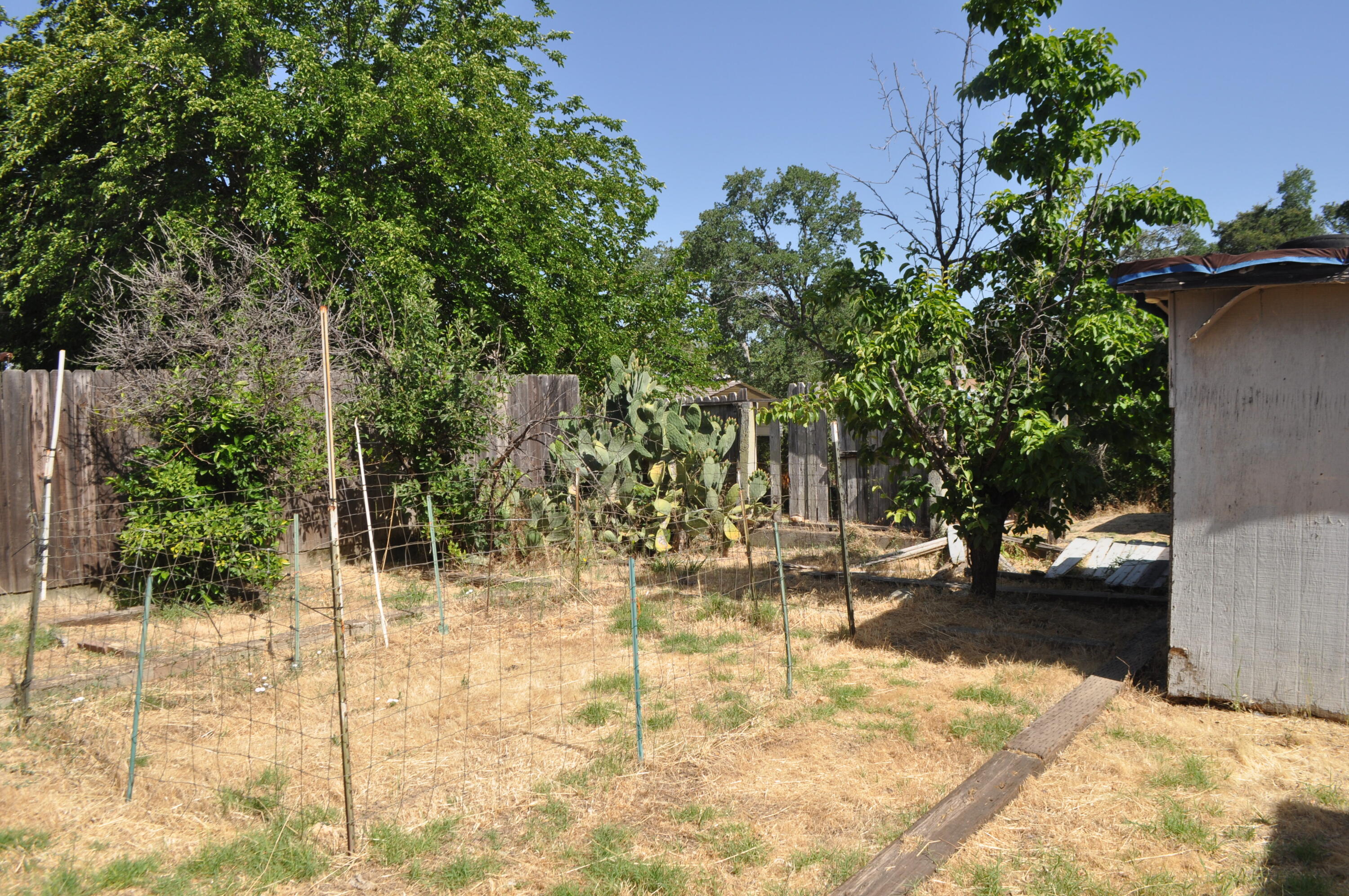 4098 St Patricks Avenue Redding, CA 96003 - Photo 25 of 39 a view of yard