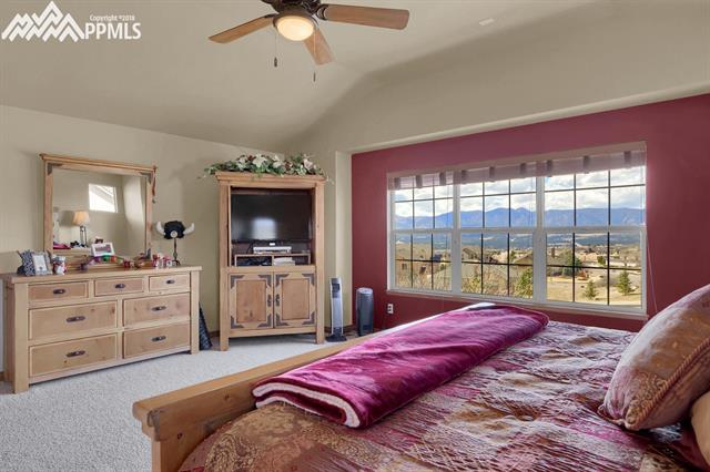 2003 Paradise Ridge Court Colorado Springs, CO 80921 - Photo 19 of 36 Gallery Image 19