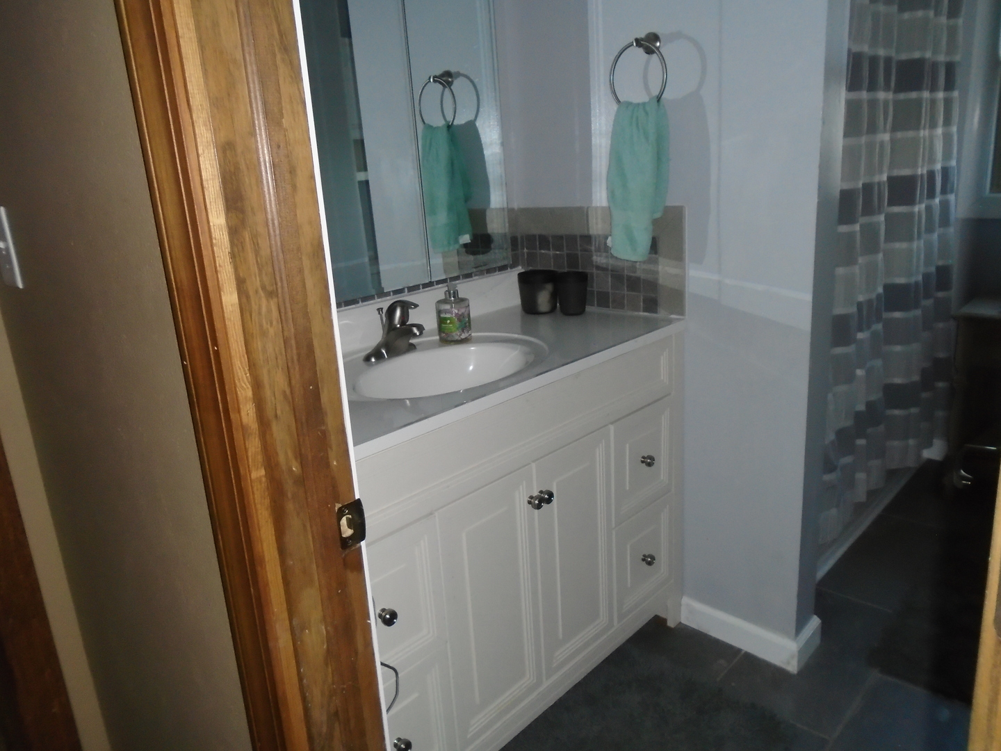 4121 East 2nd Road Mendota, IL 61342 - Photo 19 of 31 a bathroom with a double vanity sink and a mirror