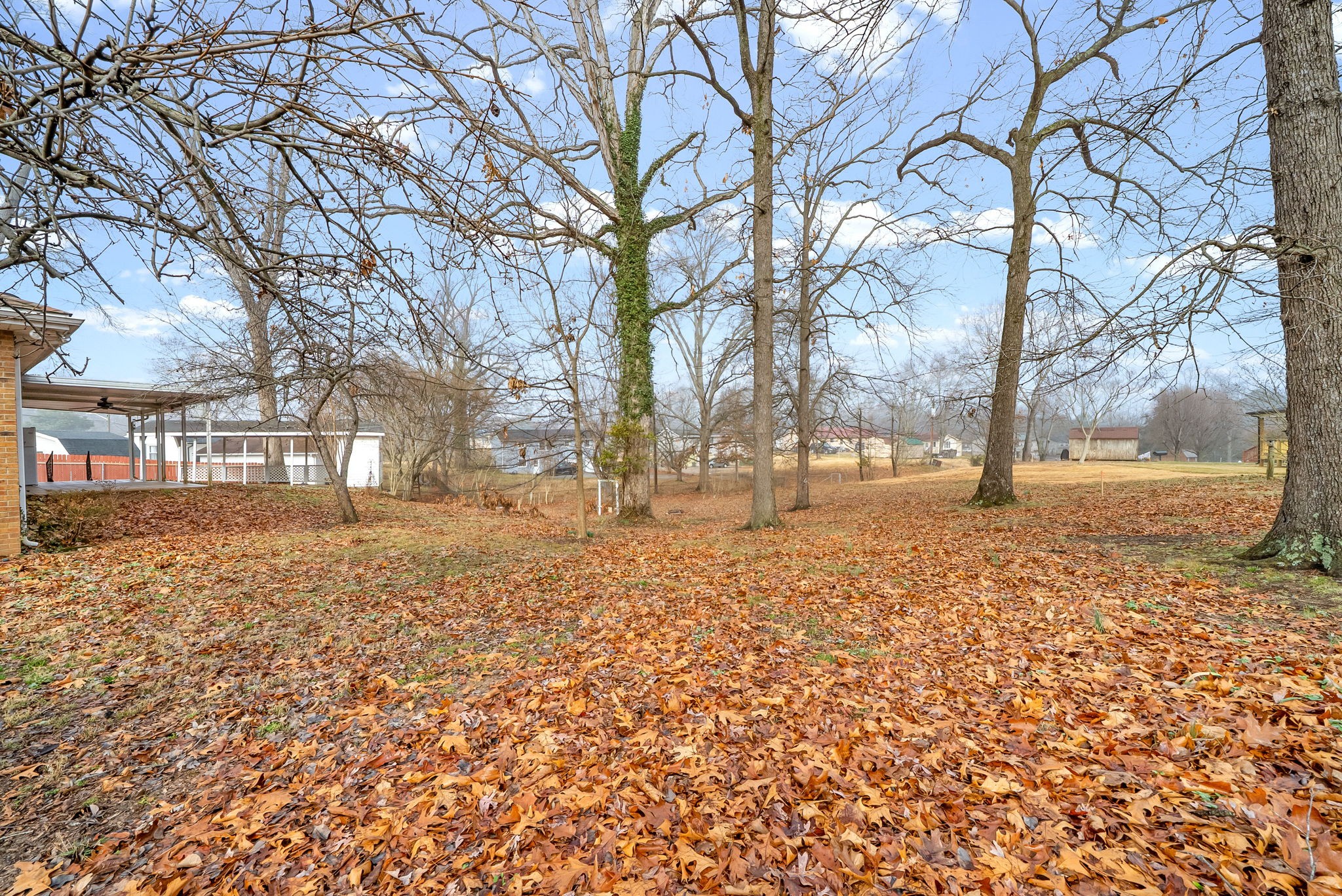 233 Pine Mountain Road Clarksville, TN 37042 - Photo 31 of 33 a view of road with covered with snow