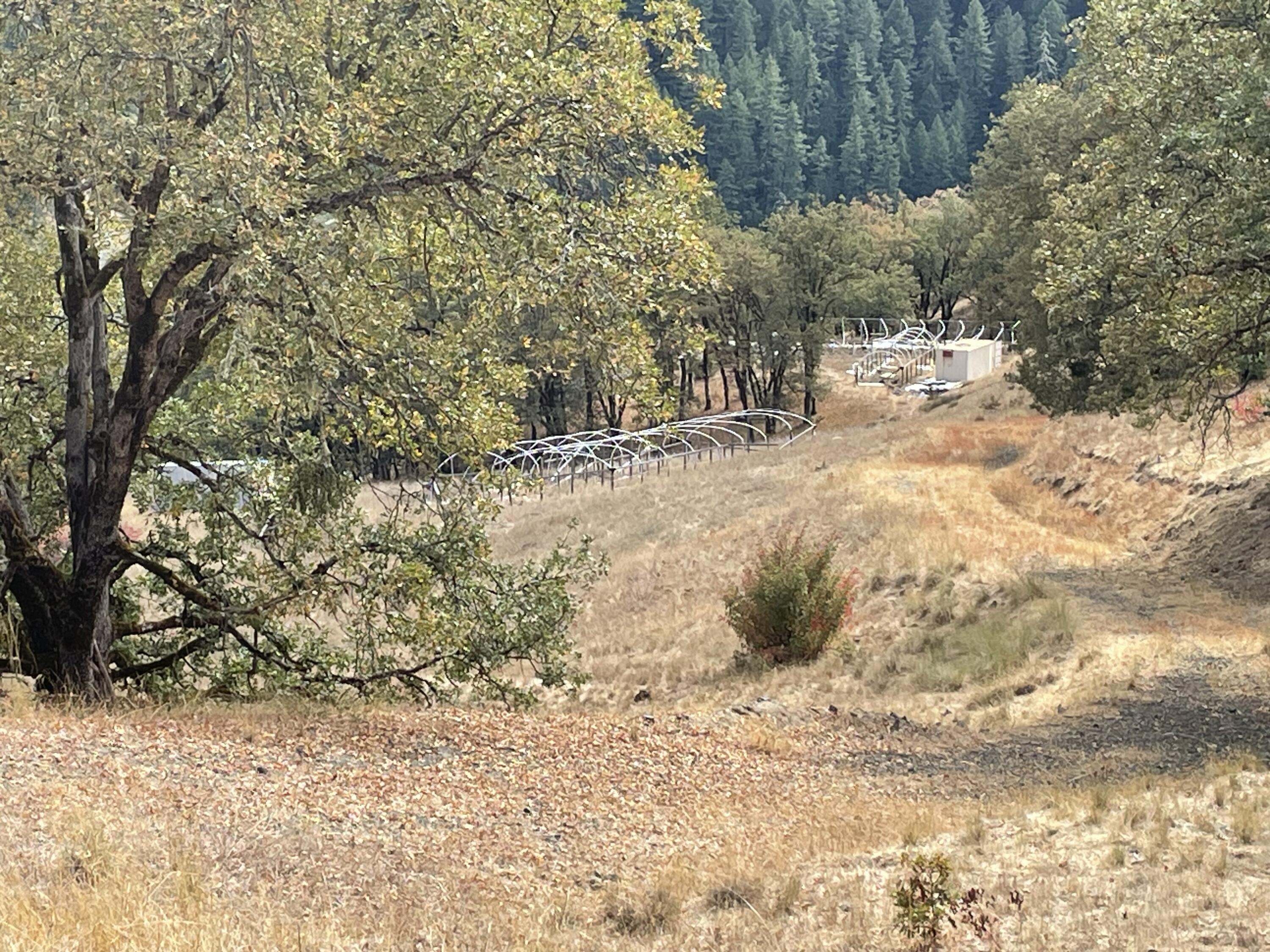 40-acres 40-acres Ridge Road Mad River, CA 95526 - Photo 8 of 28