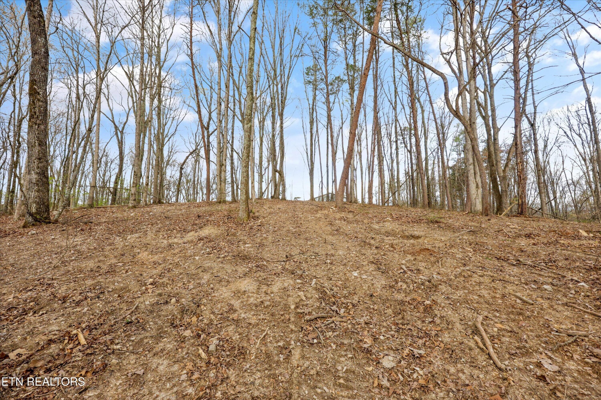 0 Pleasant View Loop Clinton, TN 37716 - Photo 5 of 12