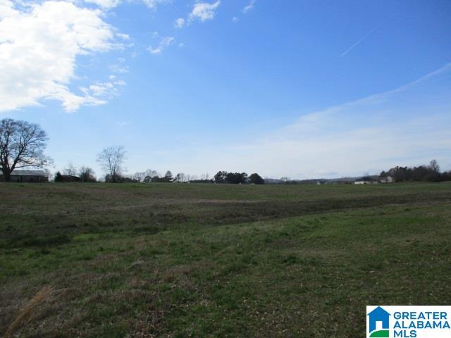 160 Highway Parcel Al, Unit 1 Cleveland, AL 35049 - Photo 8 of 10