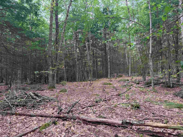 $186,900 | Lot R11-11-1 Lot R11-11-1 Forest Road, Hancock, NH 03449