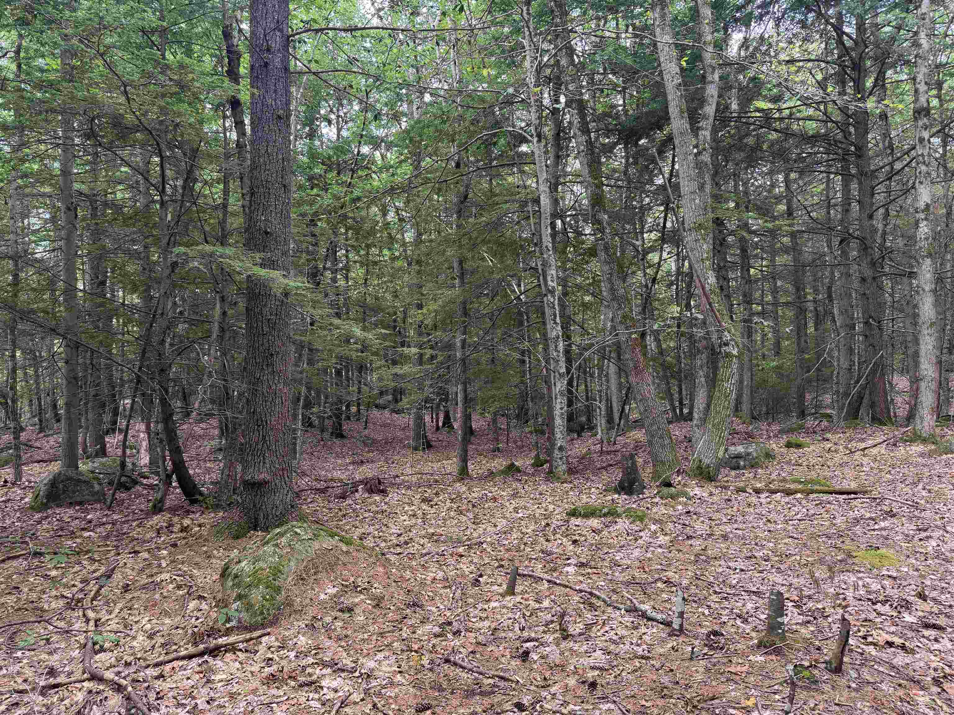 Lot R11-11-1 Lot R11-11-1 Forest Road Hancock, NH 03449 - Photo 2 of 14