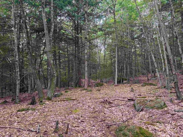 $186,900 | Lot R11-11-1 Lot R11-11-1 Forest Road, Hancock, NH 03449