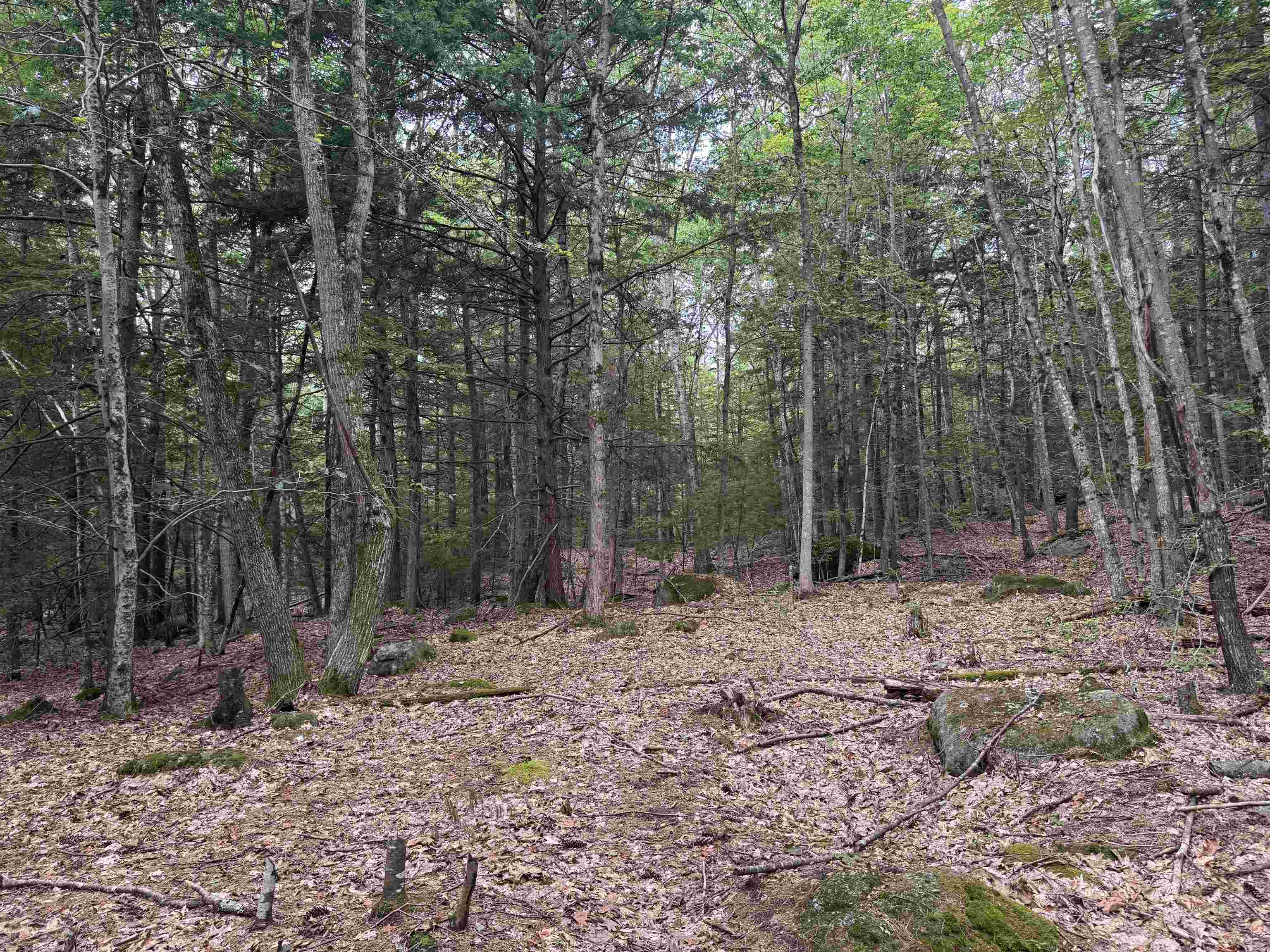 Lot R11-11-1 Lot R11-11-1 Forest Road Hancock, NH 03449 - Photo 3 of 14