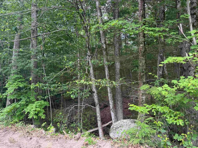 $186,900 | Lot R11-11-1 Lot R11-11-1 Forest Road, Hancock, NH 03449