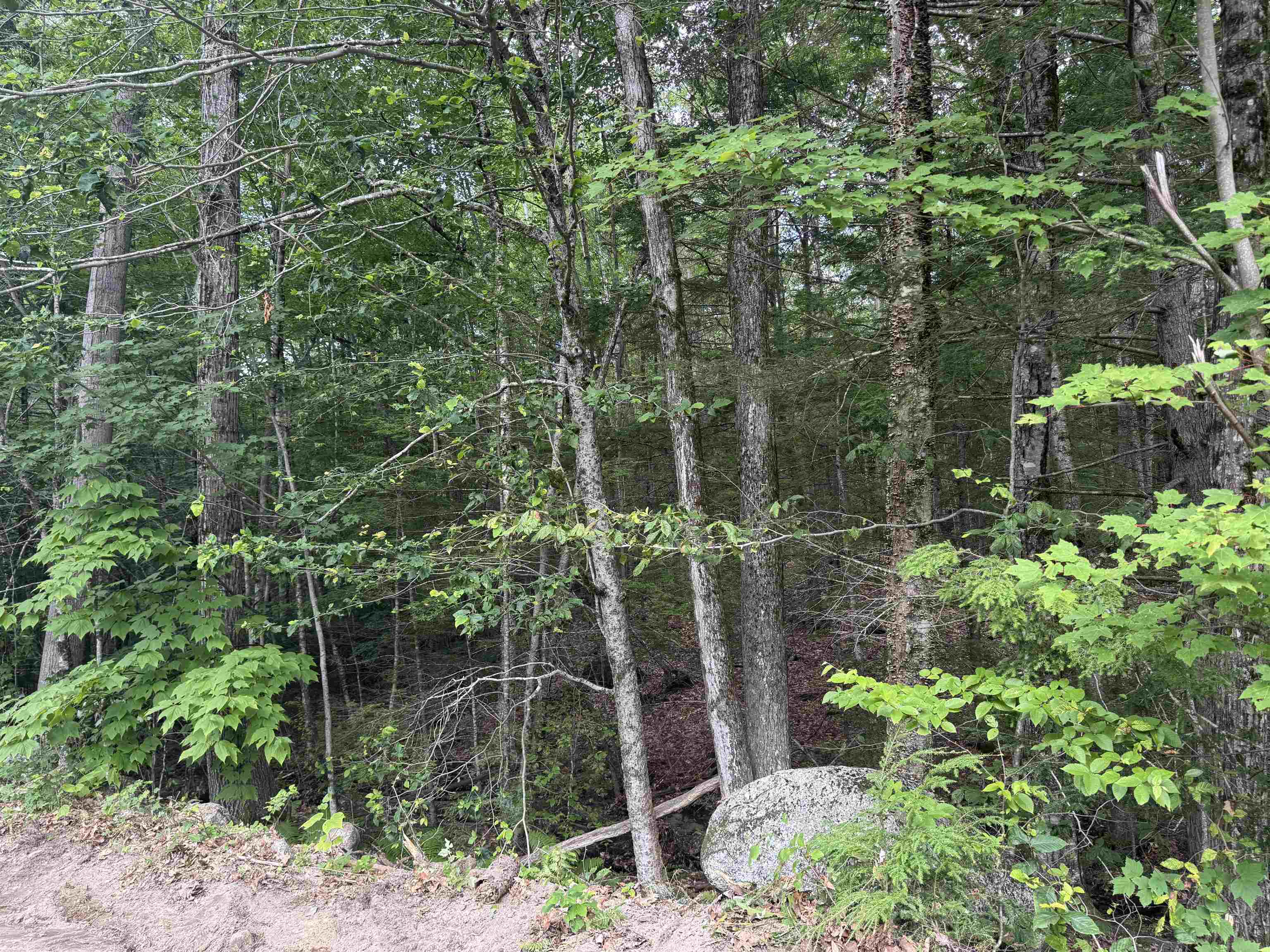 Lot R11-11-1 Lot R11-11-1 Forest Road Hancock, NH 03449 - Photo 4 of 14