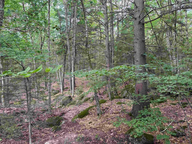 $186,900 | Lot R11-11-1 Lot R11-11-1 Forest Road, Hancock, NH 03449