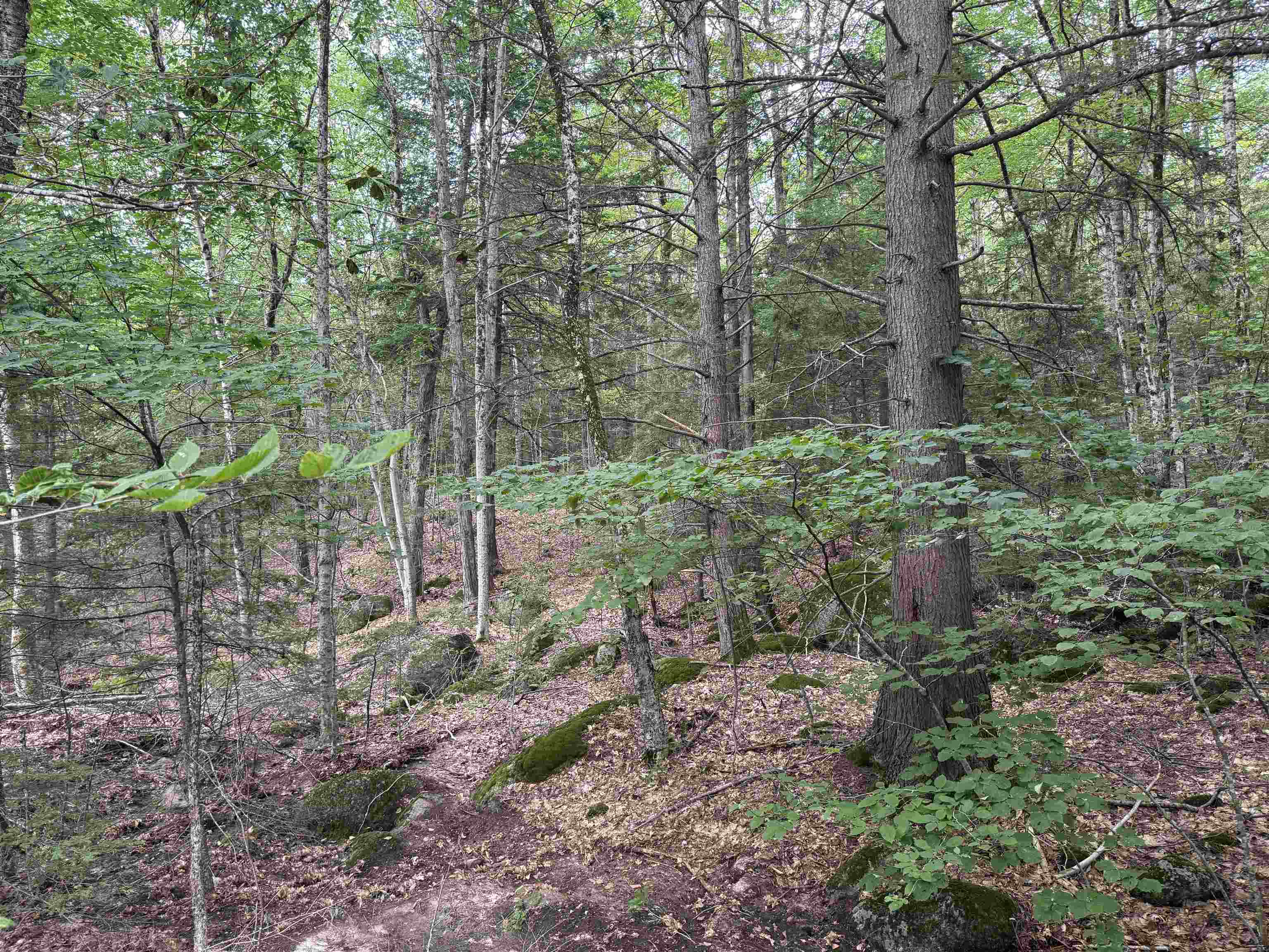 Lot R11-11-1 Lot R11-11-1 Forest Road Hancock, NH 03449 - Photo 5 of 14
