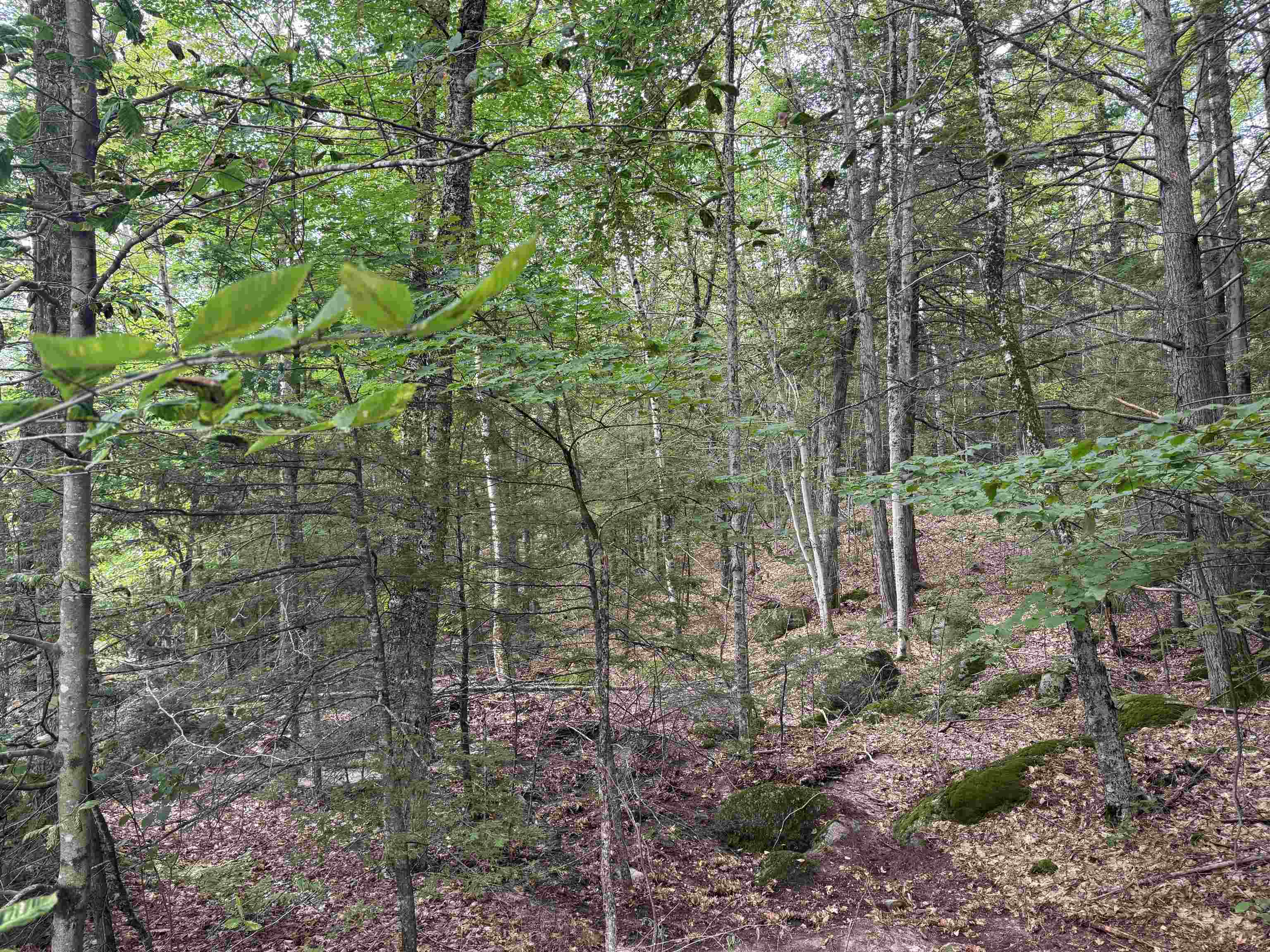 Lot R11-11-1 Lot R11-11-1 Forest Road Hancock, NH 03449 - Photo 6 of 14