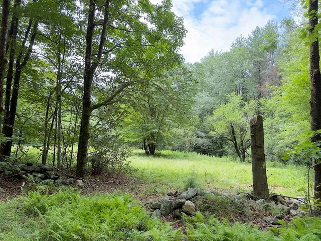 $125,000 | 0 John Ford Road, Ashfield, MA 01330