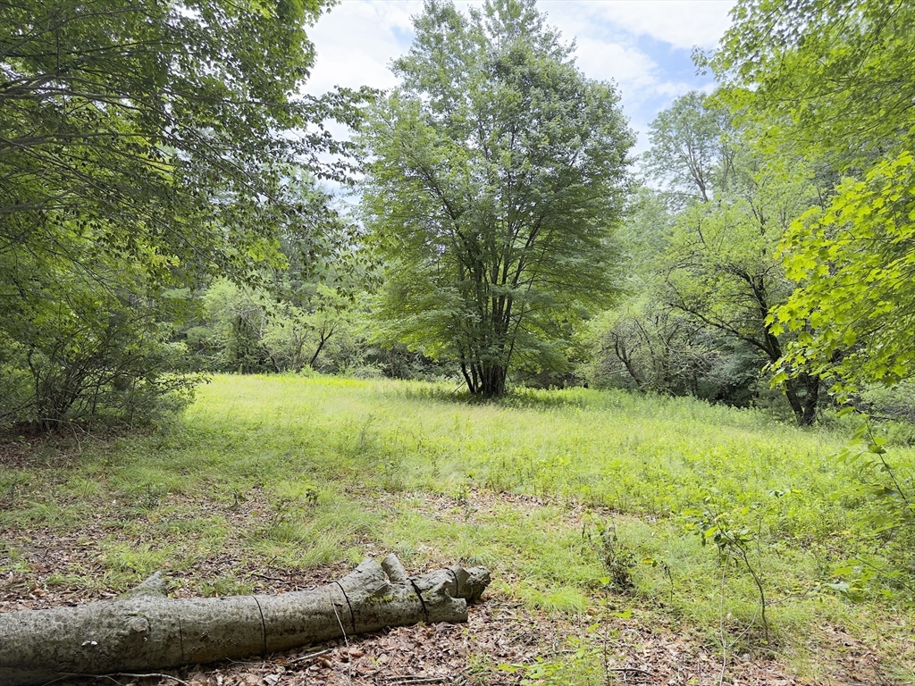 0 John Ford Road Ashfield, MA 01330 - Photo 2 of 9