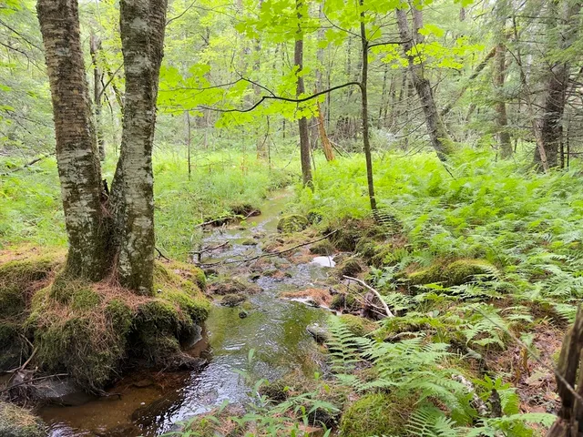 $125,000 | 0 John Ford Road, Ashfield, MA 01330