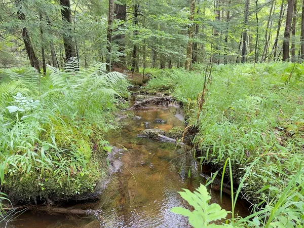 $125,000 | 0 John Ford Road, Ashfield, MA 01330