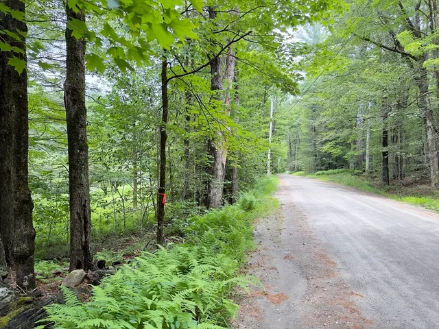 $125,000 | 0 John Ford Road, Ashfield, MA 01330