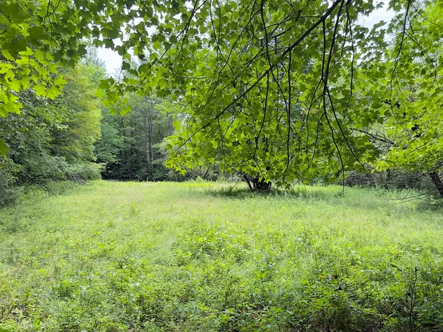 $125,000 | 0 John Ford Road, Ashfield, MA 01330