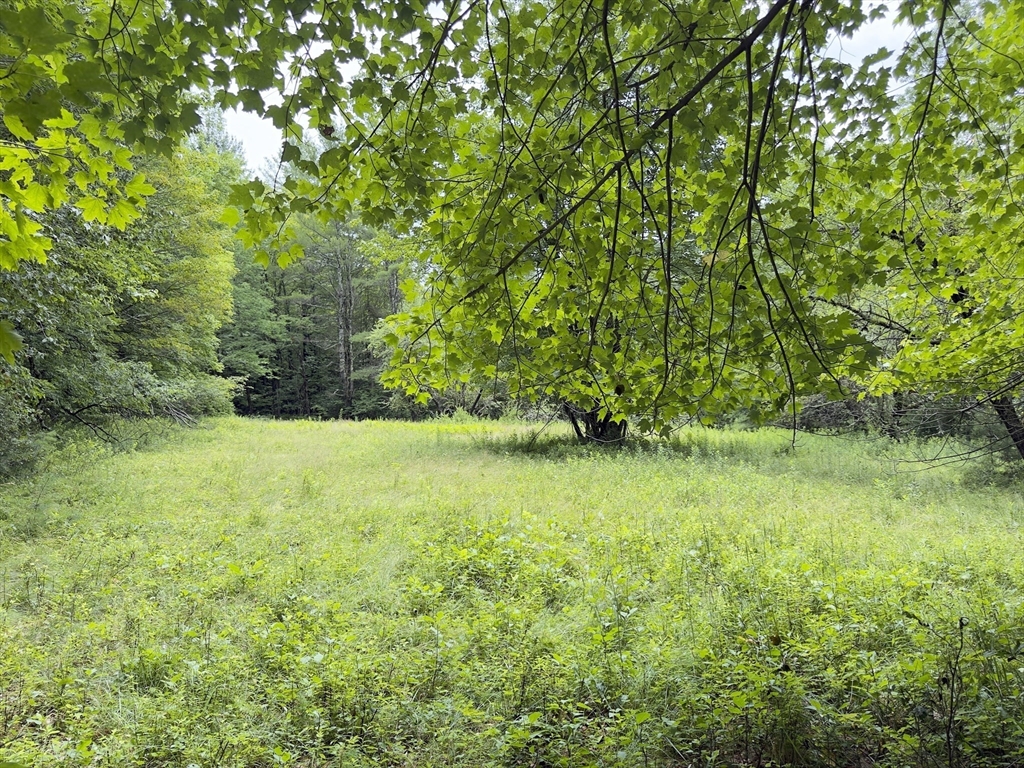 0 John Ford Road Ashfield, MA 01330 - Photo 6 of 9