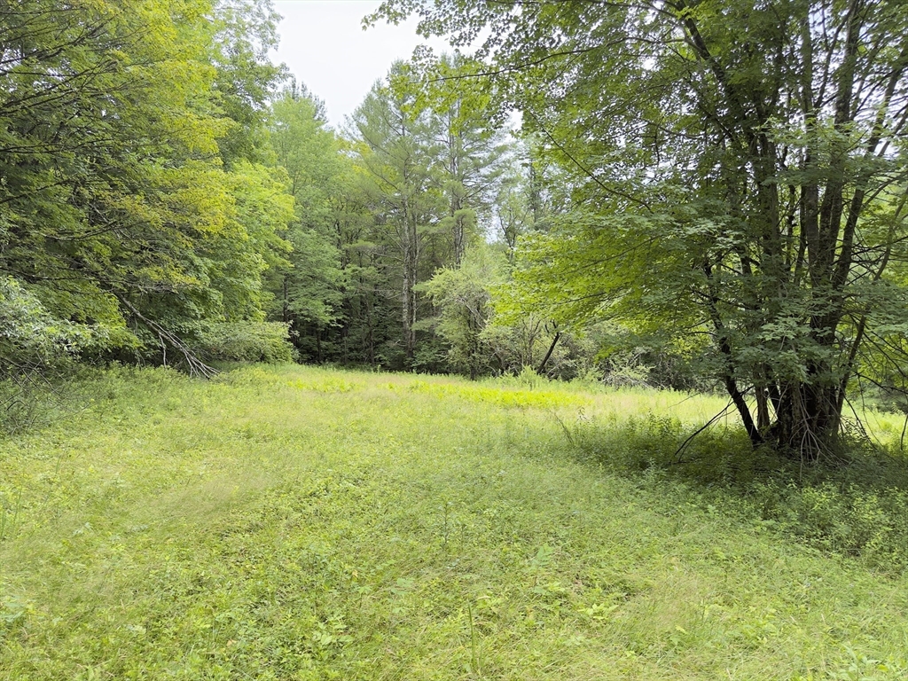 0 John Ford Road Ashfield, MA 01330 - Photo 7 of 9