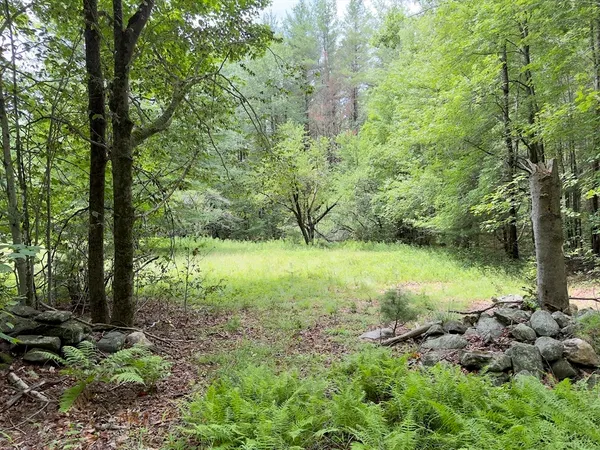 $125,000 | 0 John Ford Road, Ashfield, MA 01330