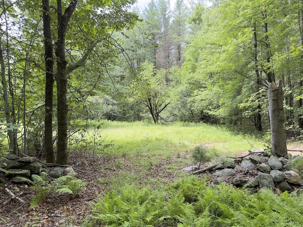 0 John Ford Road Ashfield, MA 01330 - Photo 8 of 9