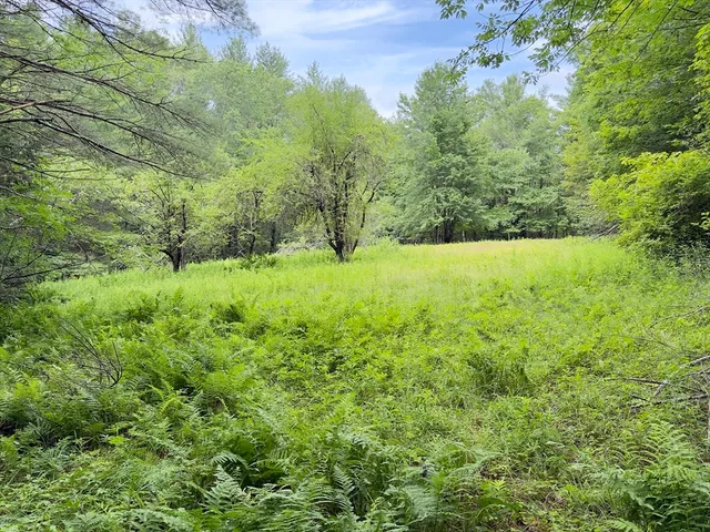 $125,000 | 0 John Ford Road, Ashfield, MA 01330