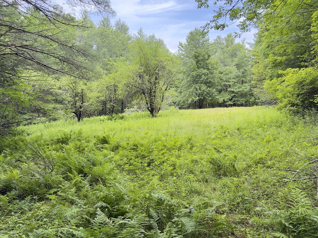 0 John Ford Road Ashfield, MA 01330 - Photo 9 of 9