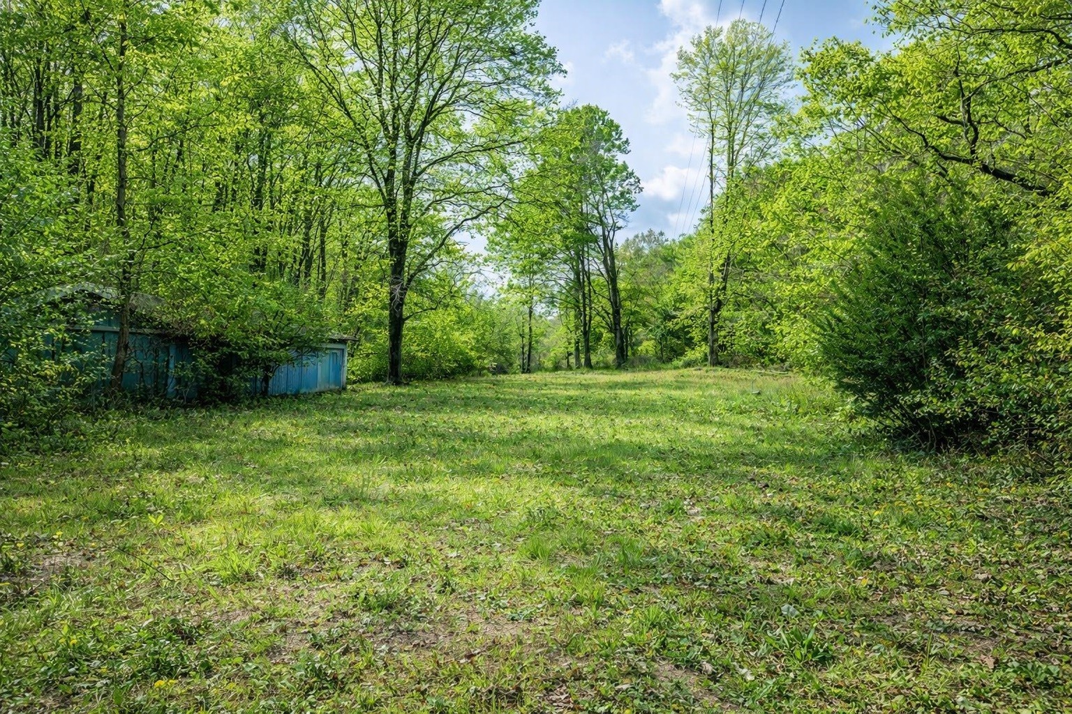 1135 West Mink Branch Road Waynesboro, TN 38485 - Photo 64 of 83
