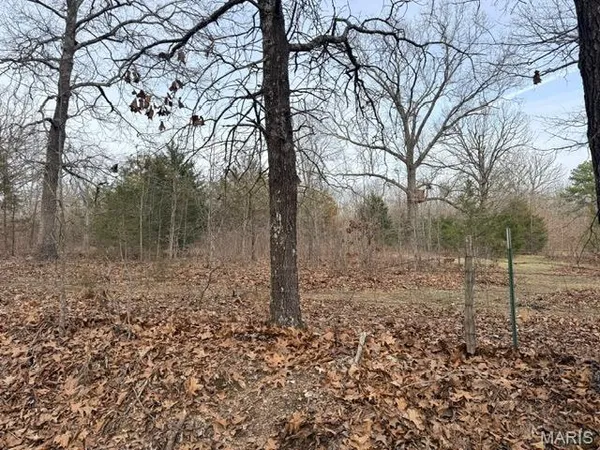 $240,000 | 19510 Bean Creek Drive, Licking, MO 65542