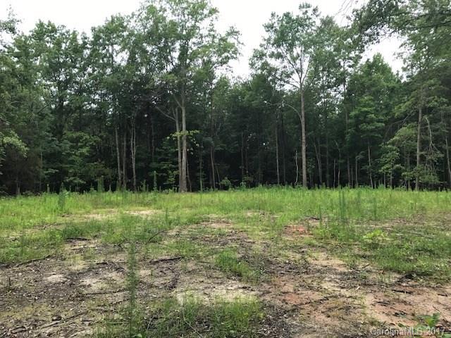 332 Chapman Road Forest City, NC 28043 - Photo 3 of 3 Gallery Image 3