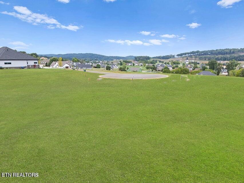 532 Ladybug Lane Loudon, TN 37774 - Photo 8 of 31 image