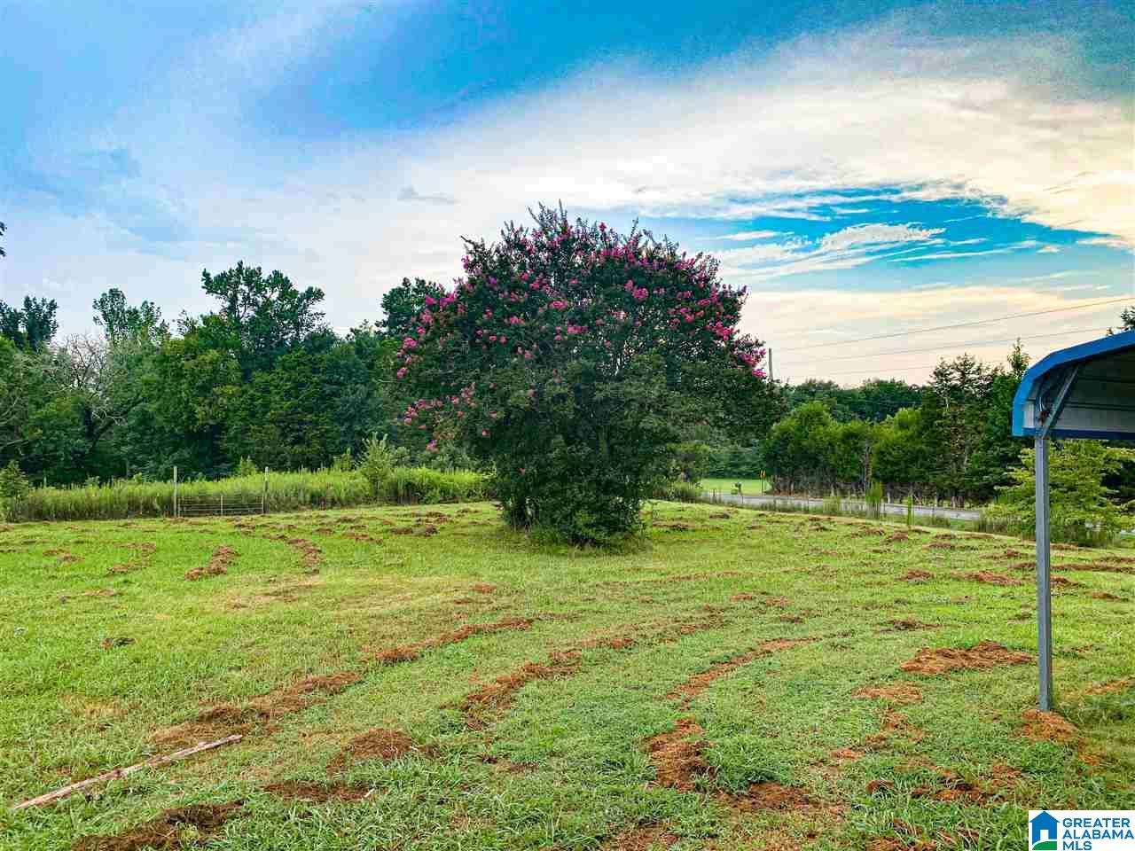 2273 Mitchellville Road Ohatchee, AL 36271 - Photo 15 of 35
