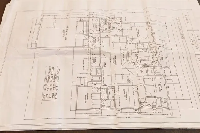 a view of a potted plant