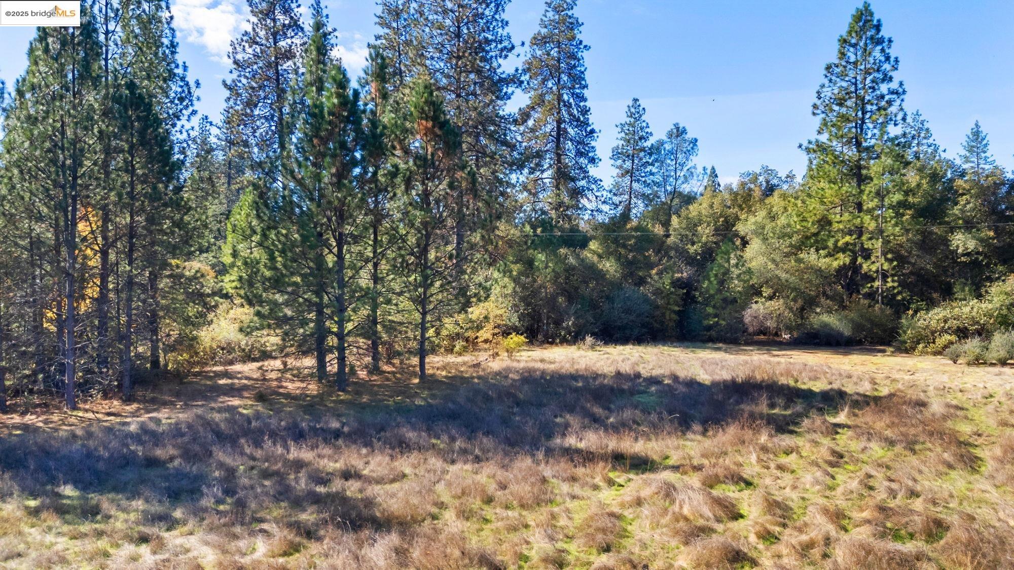 21870 Sawmill Flat Road Sonora, CA 95370 - Photo 12 of 18 a view of outdoor space with trees
