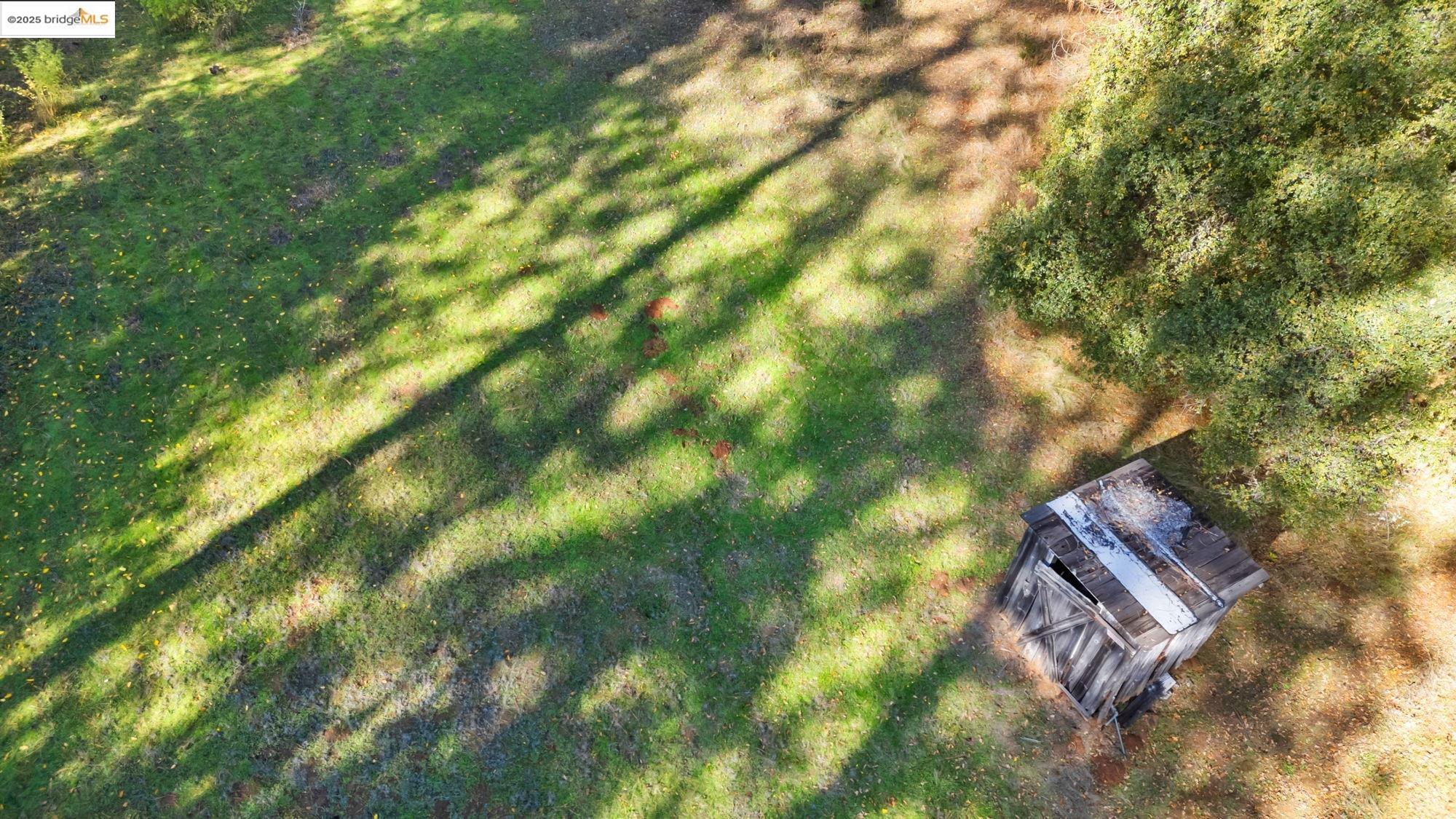 21870 Sawmill Flat Road Sonora, CA 95370 - Photo 15 of 18 a view of yard