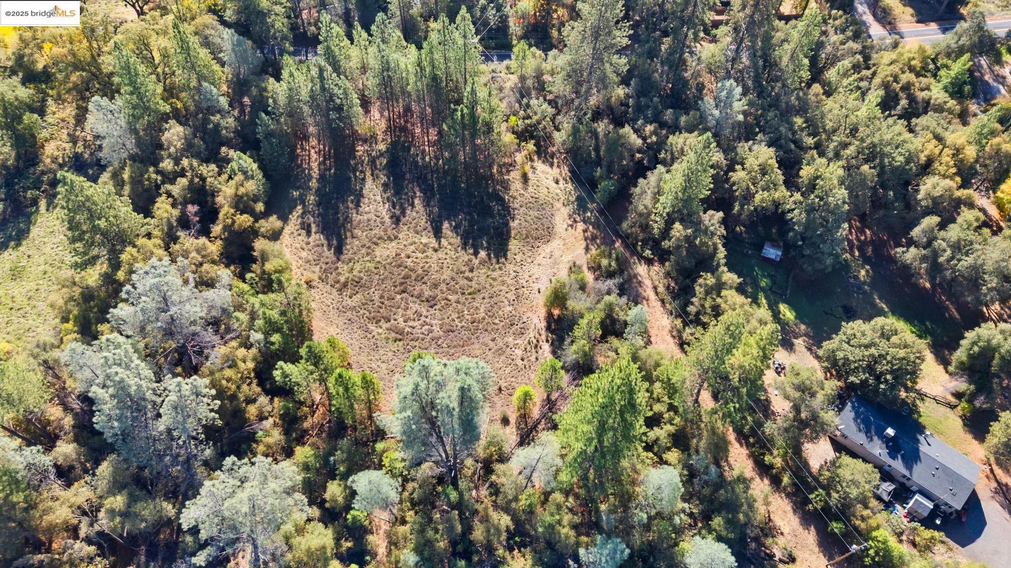 21870 Sawmill Flat Road Sonora, CA 95370 - Photo 4 of 18 a view of a house with a tree
