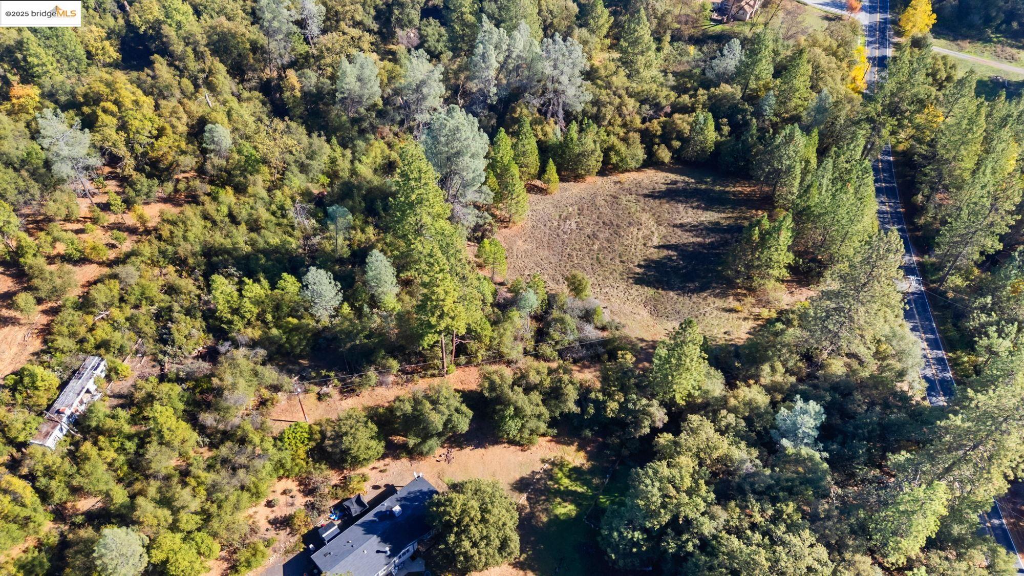 21870 Sawmill Flat Road Sonora, CA 95370 - Photo 5 of 18 a view of a tree