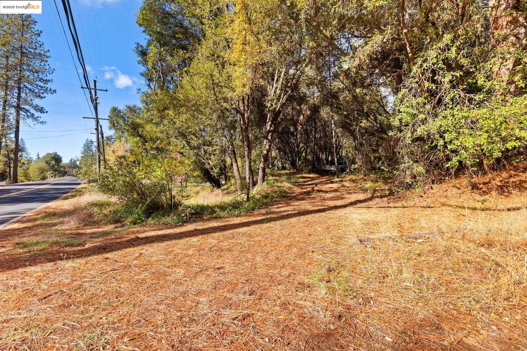 21870 Sawmill Flat Road Sonora, CA 95370 - Photo 7 of 18 a view of a yard with trees